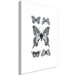 Obraz - Päť motýľov