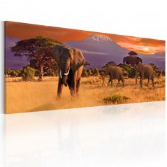 Obraz - Pochod afrických slonov