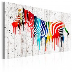 Obraz - Farebná zebra