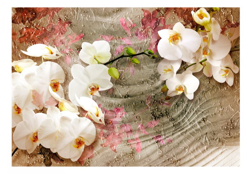 Fototapeta - Pouštní orchidej