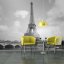 Fototapeta - Seina a Eiffelova věž