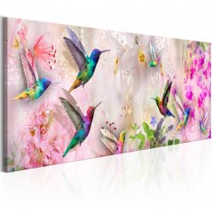 Obraz - Farebné kolibríky