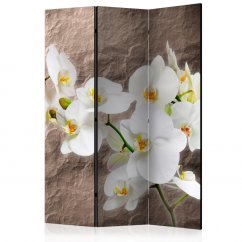 Paraván - Bezchybná orchidea