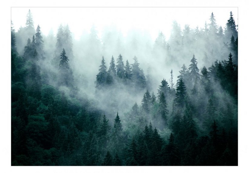 Samolepící fototapeta - Horský les (tmavě zelený)
