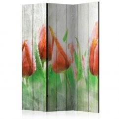 Paraván - Červené tulipány na dřevě