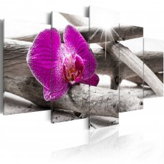 Obraz - Orchidej na pláži