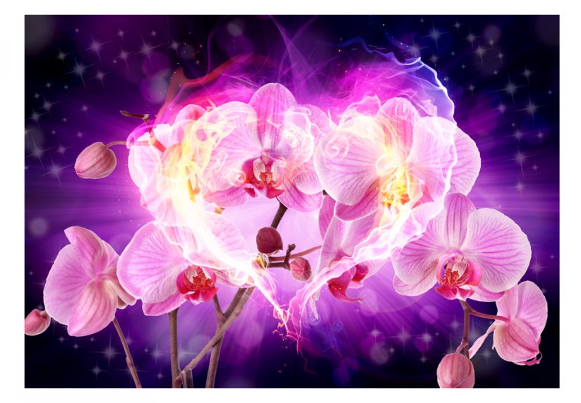 Fototapeta - Orchideje v plamenech