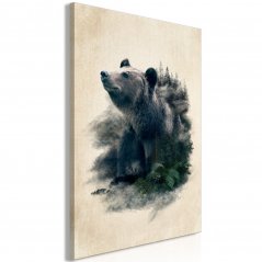 Obraz - Medvedie údolie