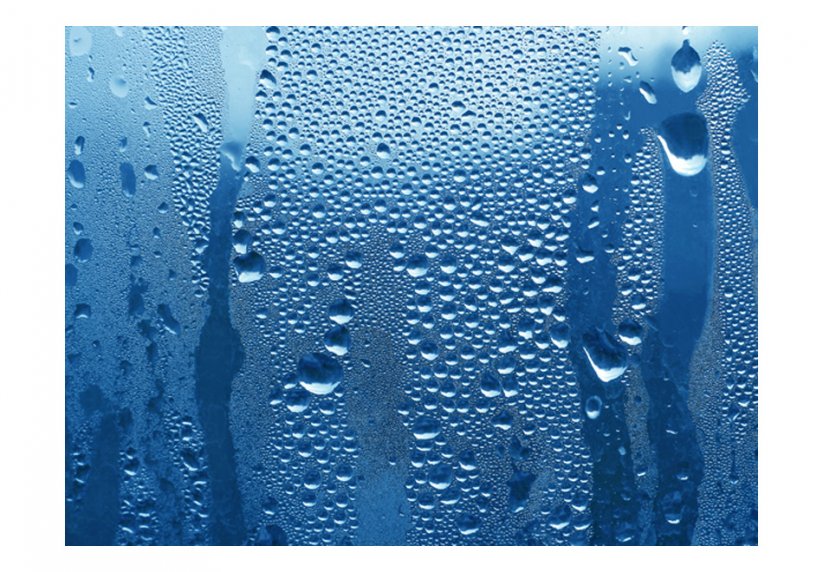 Fototapeta - Vodní kapky na modrém skle