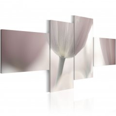 Obraz - Biele tulipány