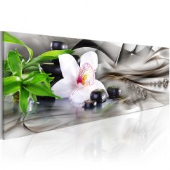 Obraz - Zenová kompozice: bambus, orchidej a kameny