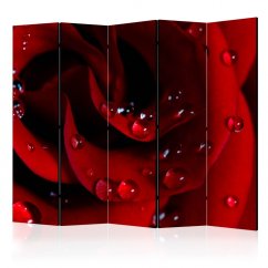 Paraván - Červená ruža s kvapkami vody II