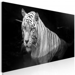 Obraz - Žiarivý tiger - biely