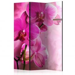 Paraván - Ružová orchidea