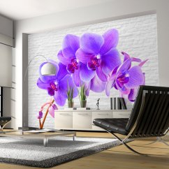 Fototapeta - Fialová orchidea II
