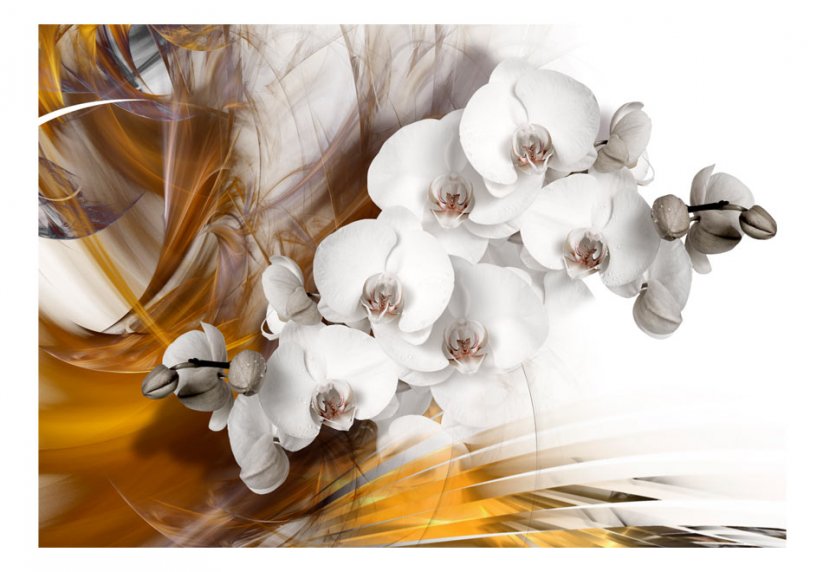 Fototapeta - Hořící orchidej