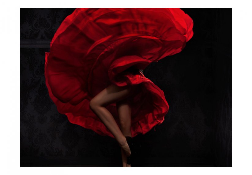 Fototapeta - Flamencová tanečnica