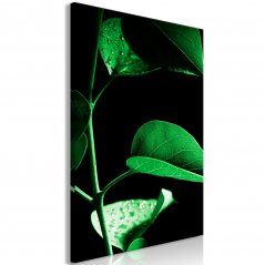 Obraz - Rastlina v čiernej farbe