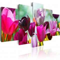 Obraz - Lúka ružových tulipánov