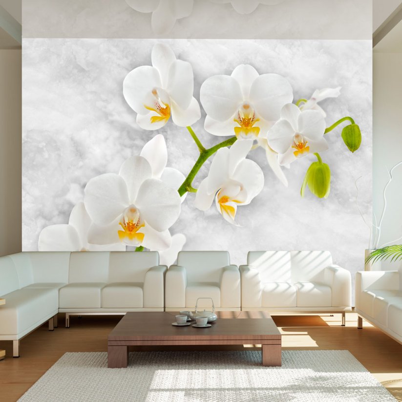Fototapeta - Lyrická orchidej - bílá