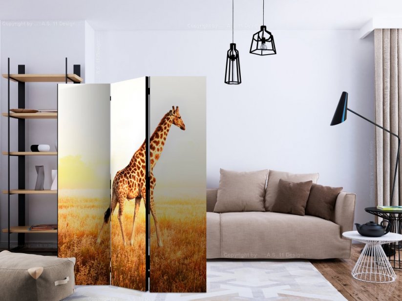 Paraván - Žirafa - prechádzka