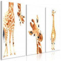 Obraz - Zábavné žirafy