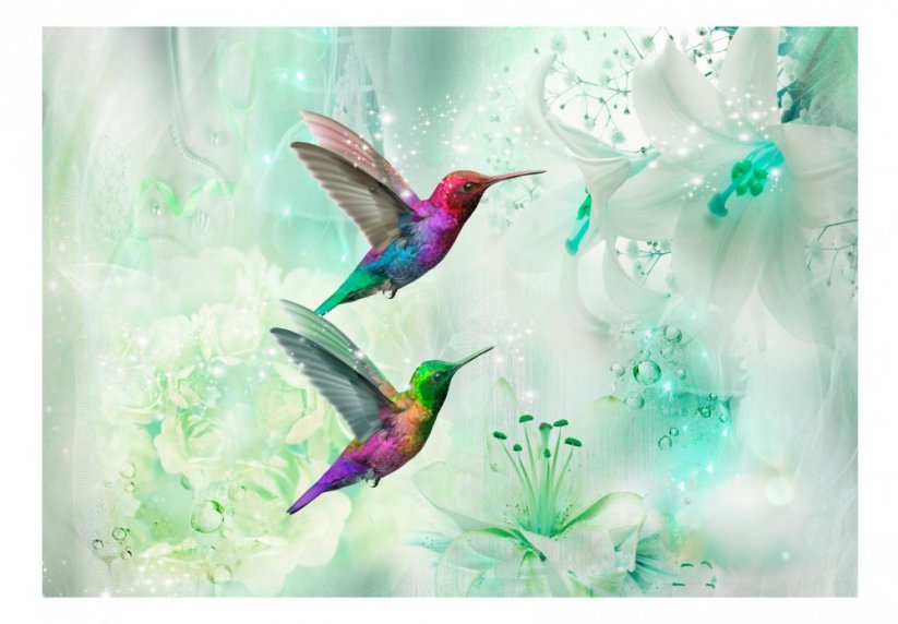 Fototapeta - Farebné kolibríky (zelené)