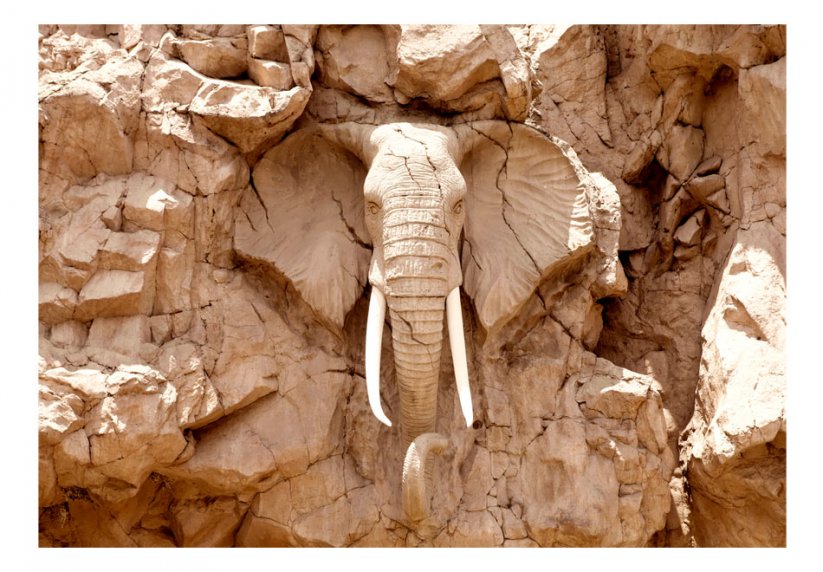 Samolepící fototapeta - Kamenný slon (Jižní Afrika)