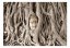 Fototapeta  - Budhov strom