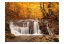 Fototapeta - Podzimní krajina: vodopád v lese