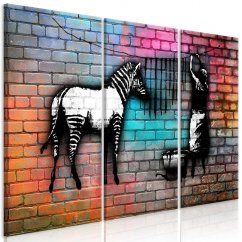 Obraz - Umytá zebra na farebných tehlách