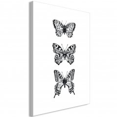 Obraz - Tri motýle