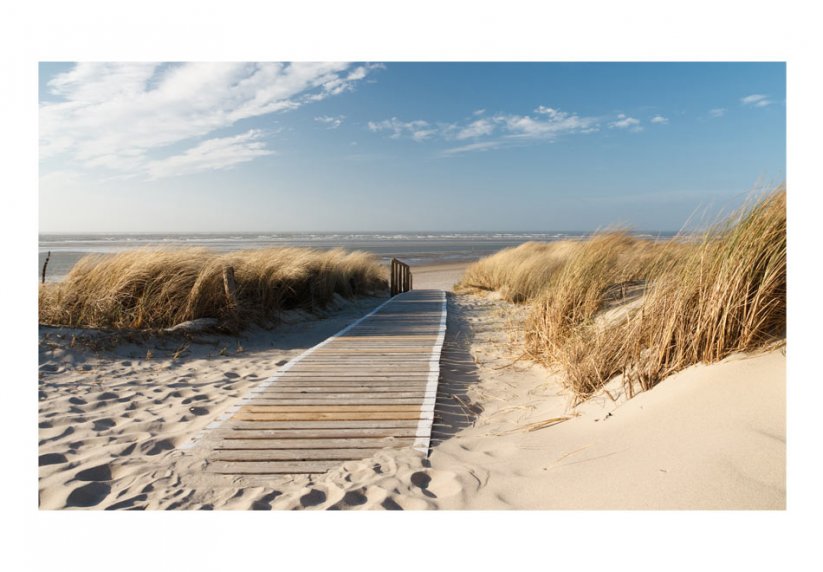 Fototapeta - Severní moře pláž, Langeoog