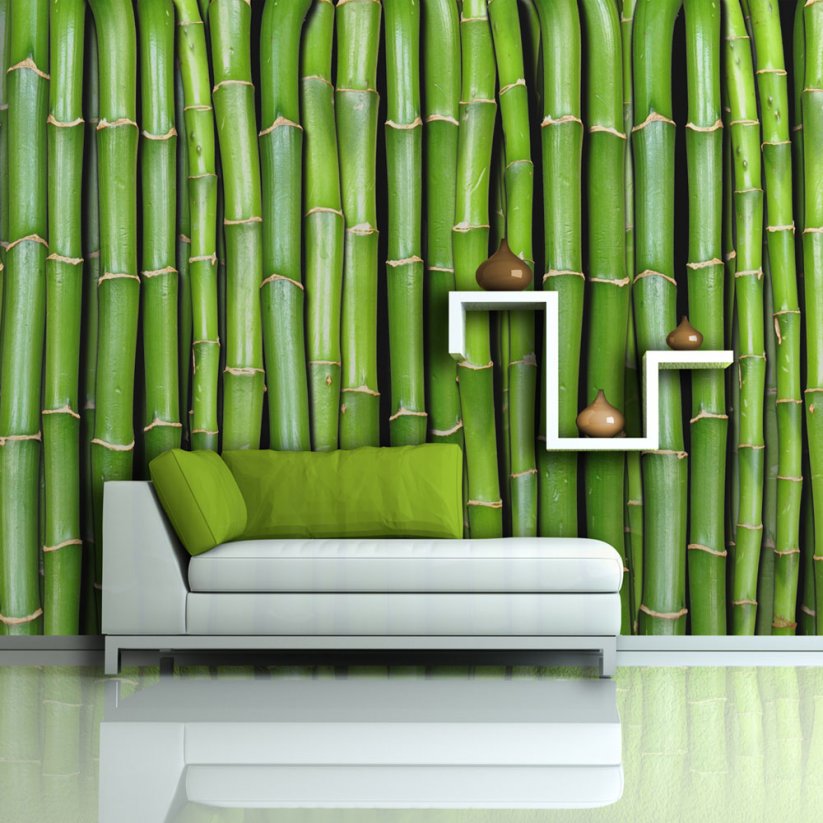 Fototapeta - Bambusový múr I.