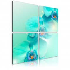 Obraz - Nebesky modré orchideje